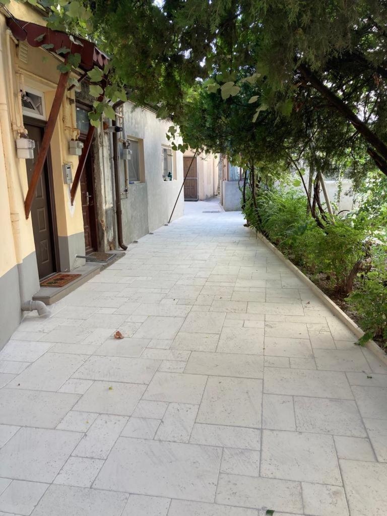 Perla Plantelor Apartment Bucureşti Ngoại thất bức ảnh