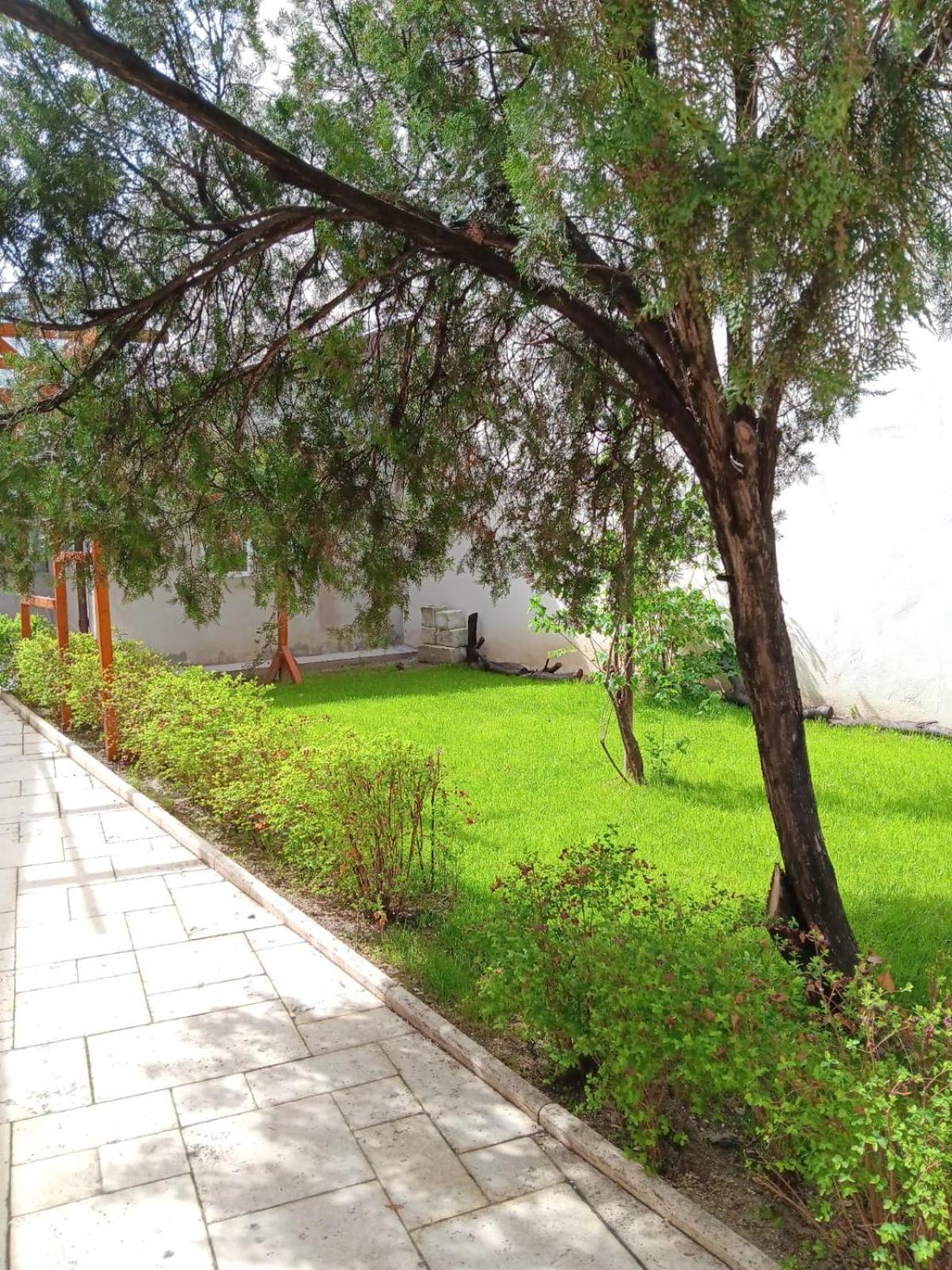 Perla Plantelor Apartment Bucureşti Ngoại thất bức ảnh