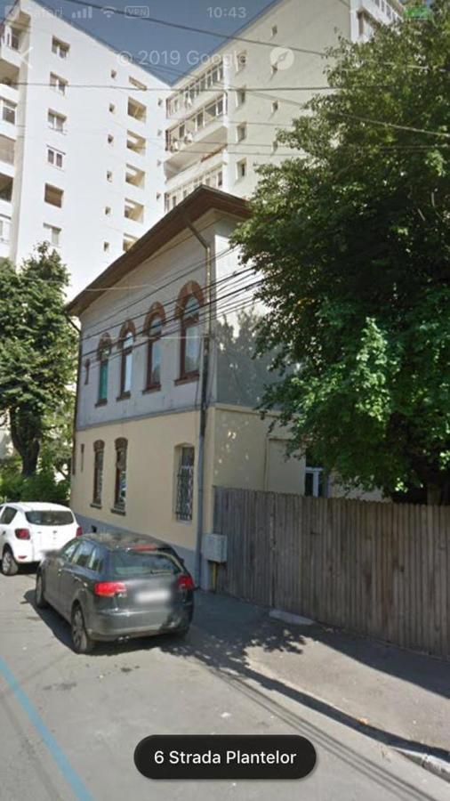 Perla Plantelor Apartment Bucureşti Ngoại thất bức ảnh